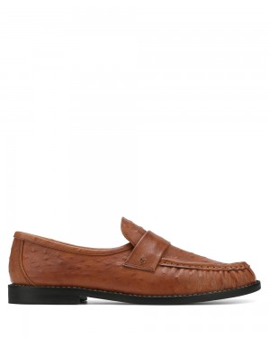 Mocasines Naked Wolfe Goldie Sheep Leather Ostrich Print Tan | 703156-YAB