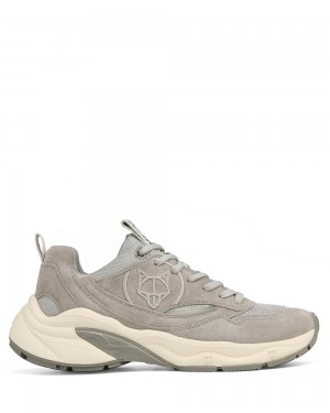 Tenis Naked Wolfe Fox Grey Suede | 375910-TPN